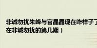 非誠勿擾朱峰與官晶晶現在咋樣子了(官晶晶和朱峰牽手是在非誠勿擾的第幾期)