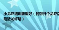 小龍蝦培訓哪里好(我想開個龍蝦店盱眙龍蝦聽說很有名但附近龍蝦培)