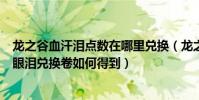 龍之谷血汗淚點數在哪里兌換(龍之谷乞丐那里用的女神的眼淚兌換卷如何得到)
