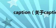 caption(關于caption的介紹)