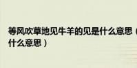 等風吹草地見牛羊的見是什么意思(風吹草地見牛羊的見是什么意思)