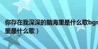 你存在我深深的腦海里是什么歌bgm(你存在我深深的腦海里是什么歌)