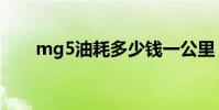 mg5油耗多少錢一公里(mg5油耗)