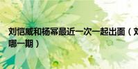 劉愷威和楊冪最近一次一起出面(劉愷威連線楊冪大本營是哪一期)