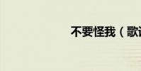 不要怪我(歌詞)