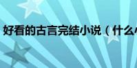 好看的古言完結小說(什么小說好看完結的)