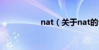 nat(關于nat的介紹)
