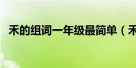 禾的組詞一年級最簡單(禾的組詞有哪些)
