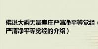 佛說大乘無量壽莊嚴清凈平等覺經(關于佛說大乘無量壽莊嚴清凈平等覺經的介紹)