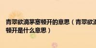 青翠欲滴茅塞頓開的意思(青翠欲滴群雄紛爭秀麗宜人茅塞頓開是什么意思)