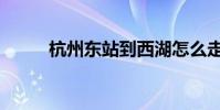 杭州東站到西湖怎么走(有多遠)