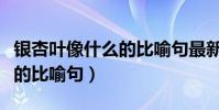 銀杏葉像什么的比喻句最新版(銀杏葉像什么的比喻句)