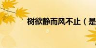 樹欲靜而風不止(是啥意思?)