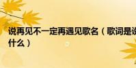 說再見不一定再遇見歌名(歌詞是說再見不一定遇見歌名是什么)