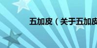 五加皮(關于五加皮的介紹)