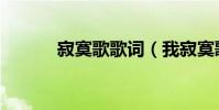 寂寞歌歌詞(我寂寞歌詞全文)