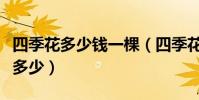 四季花多少錢一棵(四季花樹到那里賣品種有多少)