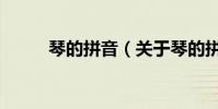 琴的拼音(關于琴的拼音的介紹)
