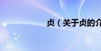 貞(關于貞的介紹)