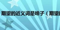 期望的近義詞是啥子(期望的近義詞是什么)