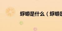 蜉蝣是什么(蜉蝣是什么?)