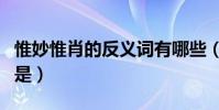 惟妙惟肖的反義詞有哪些(惟妙惟肖的反義詞是)
