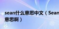 sean什么意思中文(Sean是什么意思是什么意思啊)