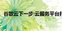 谷歌云下一步:云服務平臺打包了一大堆api
