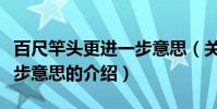 百尺竿頭更進一步意思(關于百尺竿頭更進一步意思的介紹)