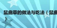 鼠曲草的做法與吃法(鼠曲草的吃法有哪些呢)