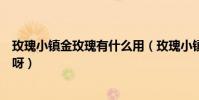 玫瑰小鎮金玫瑰有什么用(玫瑰小鎮羽衣金色陽光是什么花呀)