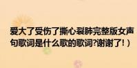 愛大了受傷了撕心裂肺完整版女聲(愛大了吧,受傷了吧!這句歌詞是什么歌的歌詞?謝謝了!)