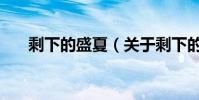 剩下的盛夏(關于剩下的盛夏的介紹)