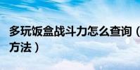 多玩飯盒戰斗力怎么查詢(多玩飯盒戰績查詢方法)