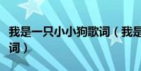 我是一只小小狗歌詞(我是你的小小狗完整歌詞)