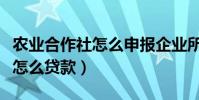 農業合作社怎么申報企業所得稅(農業合作社怎么貸款)