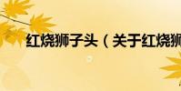 紅燒獅子頭(關于紅燒獅子頭的介紹)