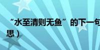 “水至清則無魚”的下一句是什么(是什么意思)