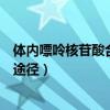 體內嘌呤核苷酸合成的主要途徑（嘌呤核苷酸的合成有哪些途徑）