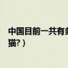 中國目前一共有多少只大熊貓（中國目前一共有多少只大熊貓?）