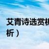 艾青詩選賞析（現代詩人艾青的《礁石》的賞析）
