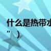 什么是熱帶水果圖片（什么是“熱帶水果之王”）