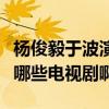 楊俊毅于波演過的電視劇（于波和楊俊毅演過哪些電視劇啊）
