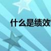 什么是績效管理概念（什么是績效預算）
