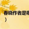 春曉作者是哪個朝代（春曉的作者和朝代是誰）