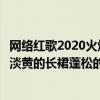 網絡紅歌2020火爆歌曲名（網絡紅歌2020火爆歌曲排行榜：淡黃的長裙蓬松的頭發）