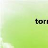 torn（關于torn的介紹）