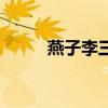 燕子李三（關于燕子李三的介紹）