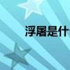浮屠是什么意思（浮屠是什么意思）