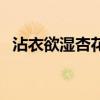 沾衣欲濕杏花雨（吹面不寒楊柳風的意思）
